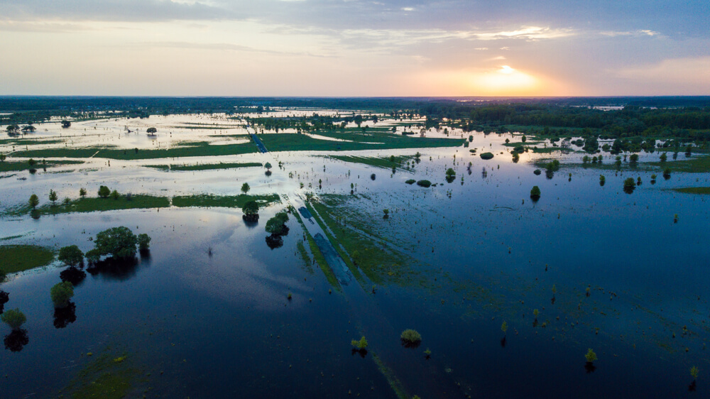 flooded meadow and road 